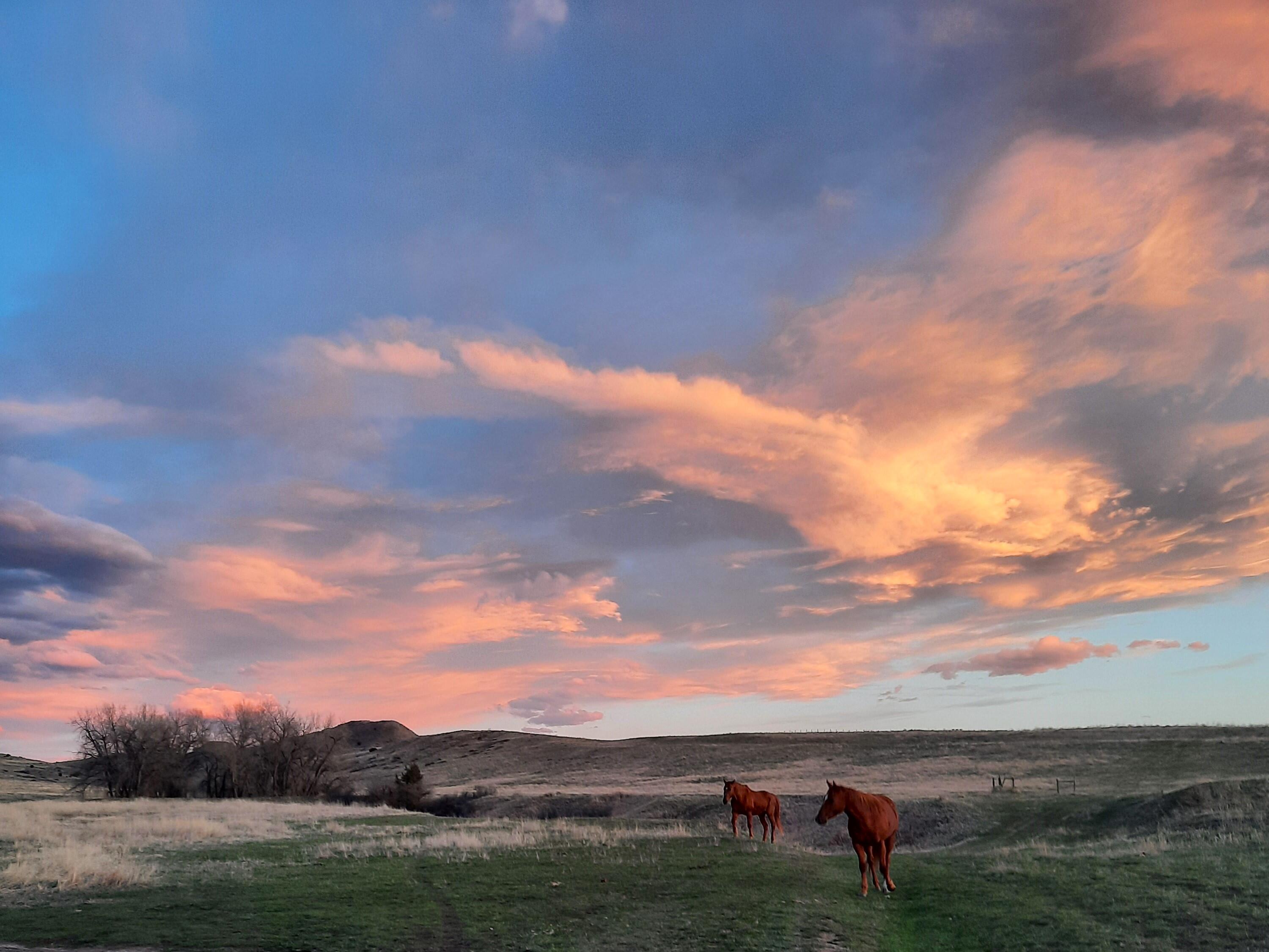 Dry Ranch Road Sheridan, WY 82801 - Photo 32 of 43 32