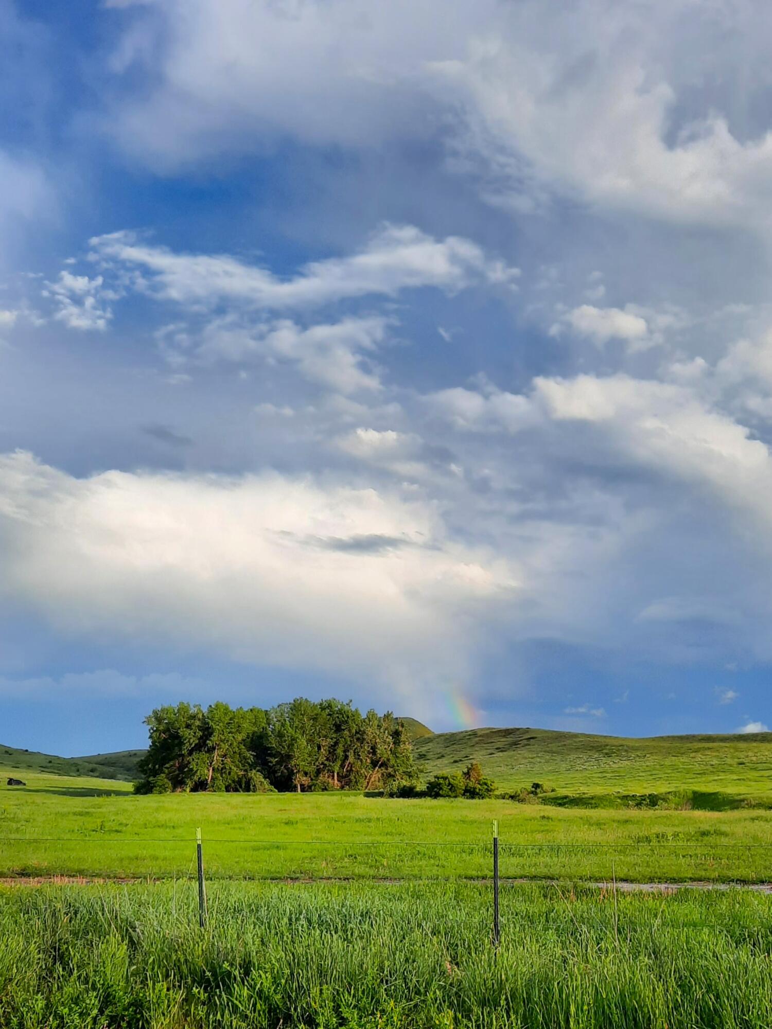 Dry Ranch Road Sheridan, WY 82801 - Photo 35 of 43 35