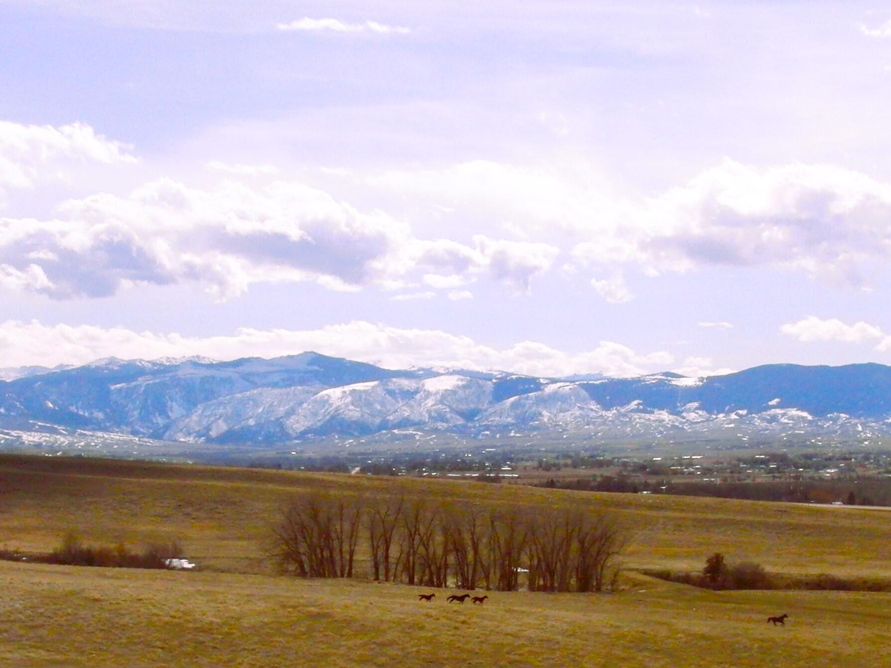 Dry Ranch Road Sheridan, WY 82801 - Photo 36 of 43 36