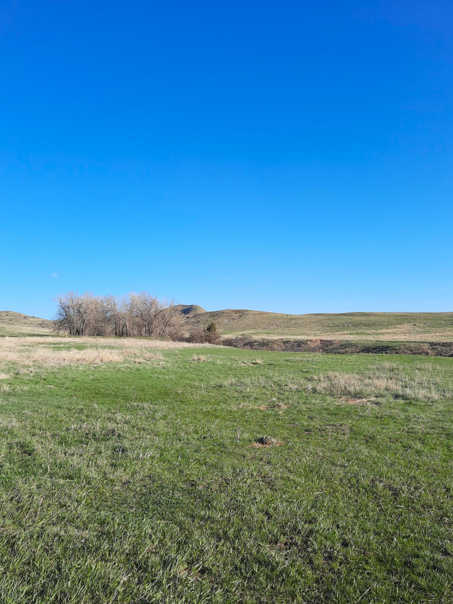 Dry Ranch Road Sheridan, WY 82801 - Photo 37 of 43 37