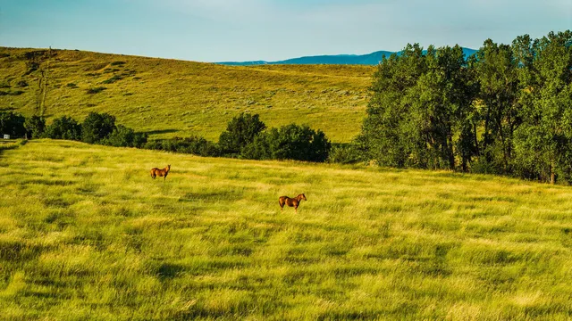 $498,000 | Dry Ranch Road, Sheridan, WY 82801