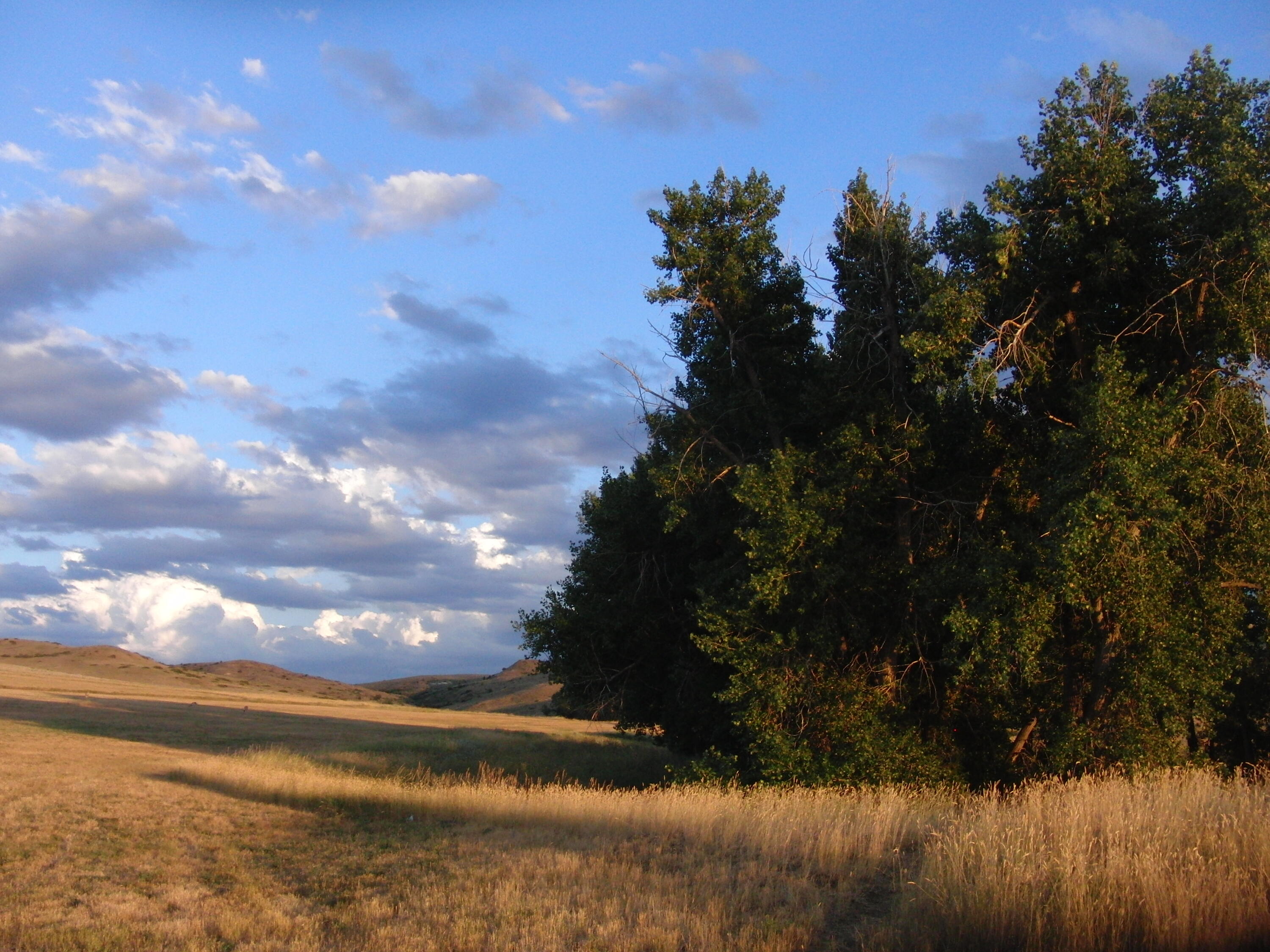 Dry Ranch Road Sheridan, WY 82801 - Photo 39 of 43 39