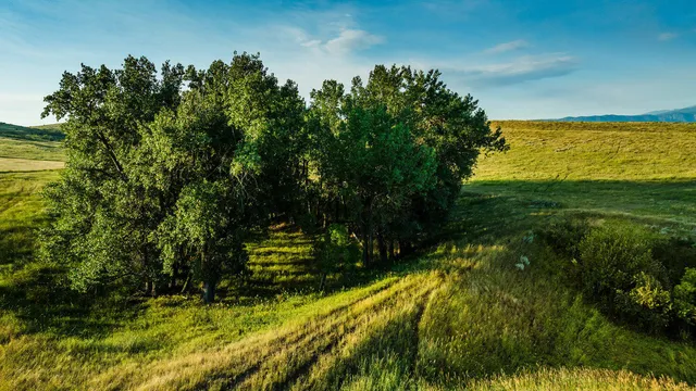 $498,000 | Dry Ranch Road, Sheridan, WY 82801