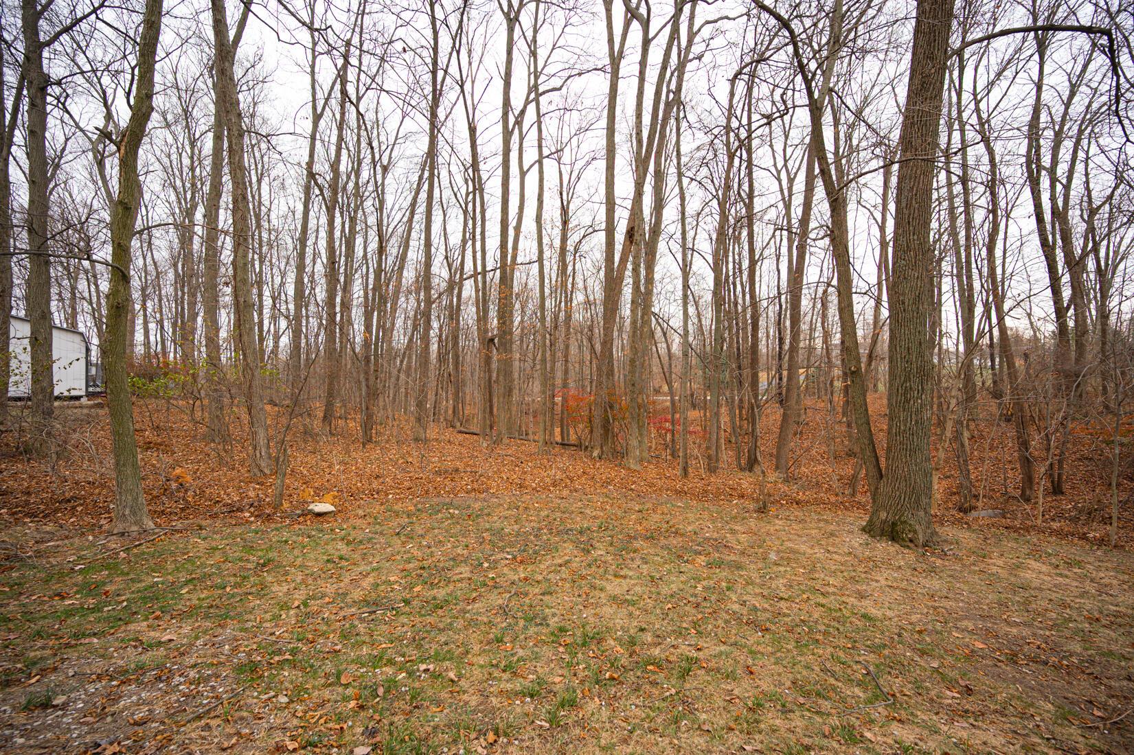 11466 Edwards Road Johnstown, OH 43031 - Photo 49 of 84 11466 Edwards Rd Johnstown Ohio-28