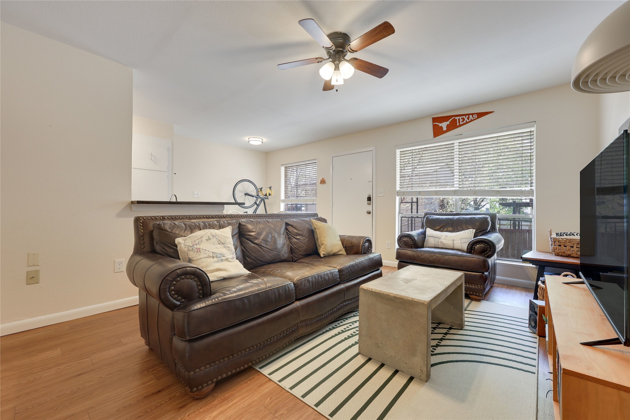 a living room with furniture or couch and a flat screen tv