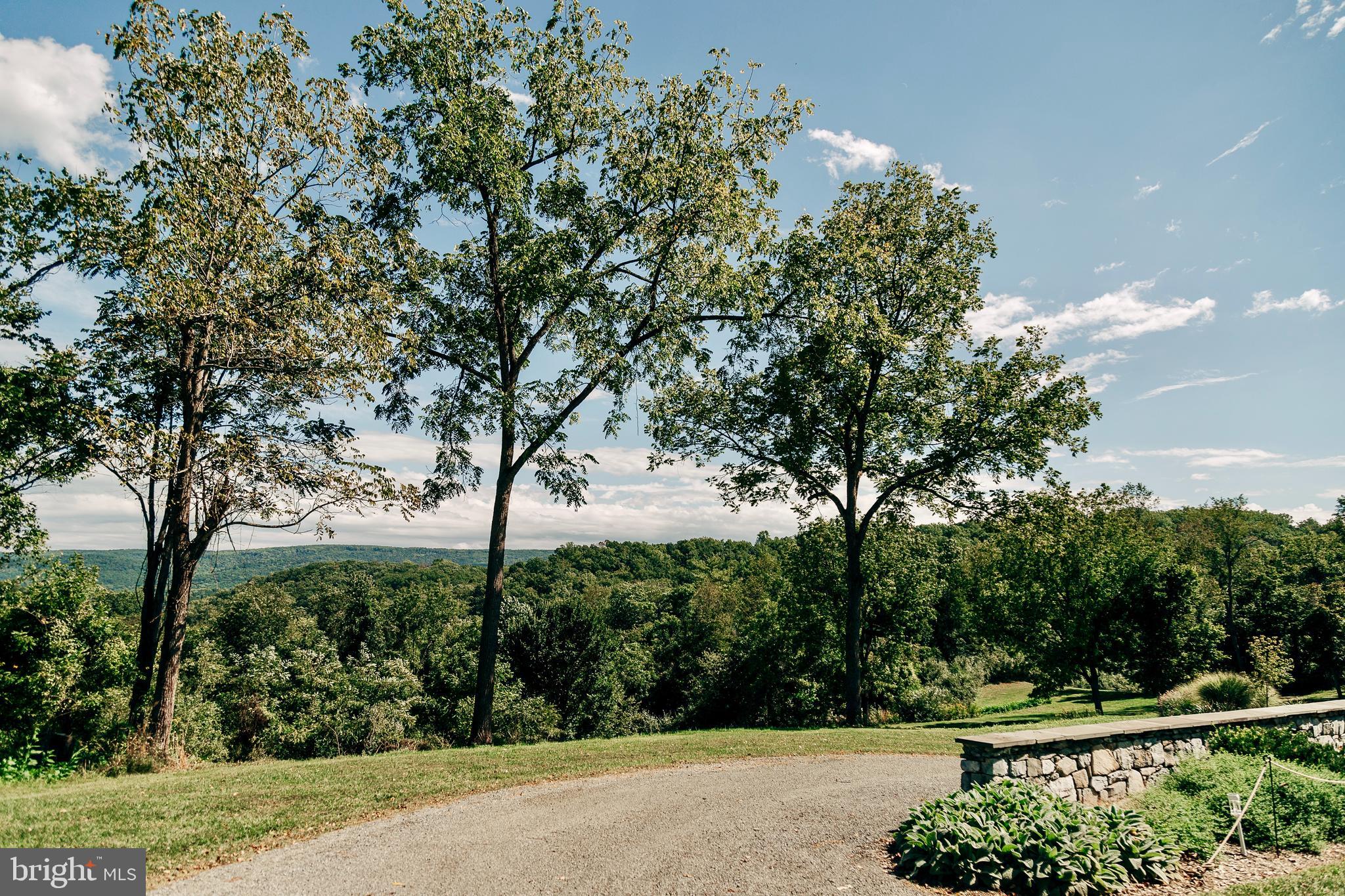 1230 Chilly Hollow Road Berryville, VA 22611 - Photo 49 of 61
