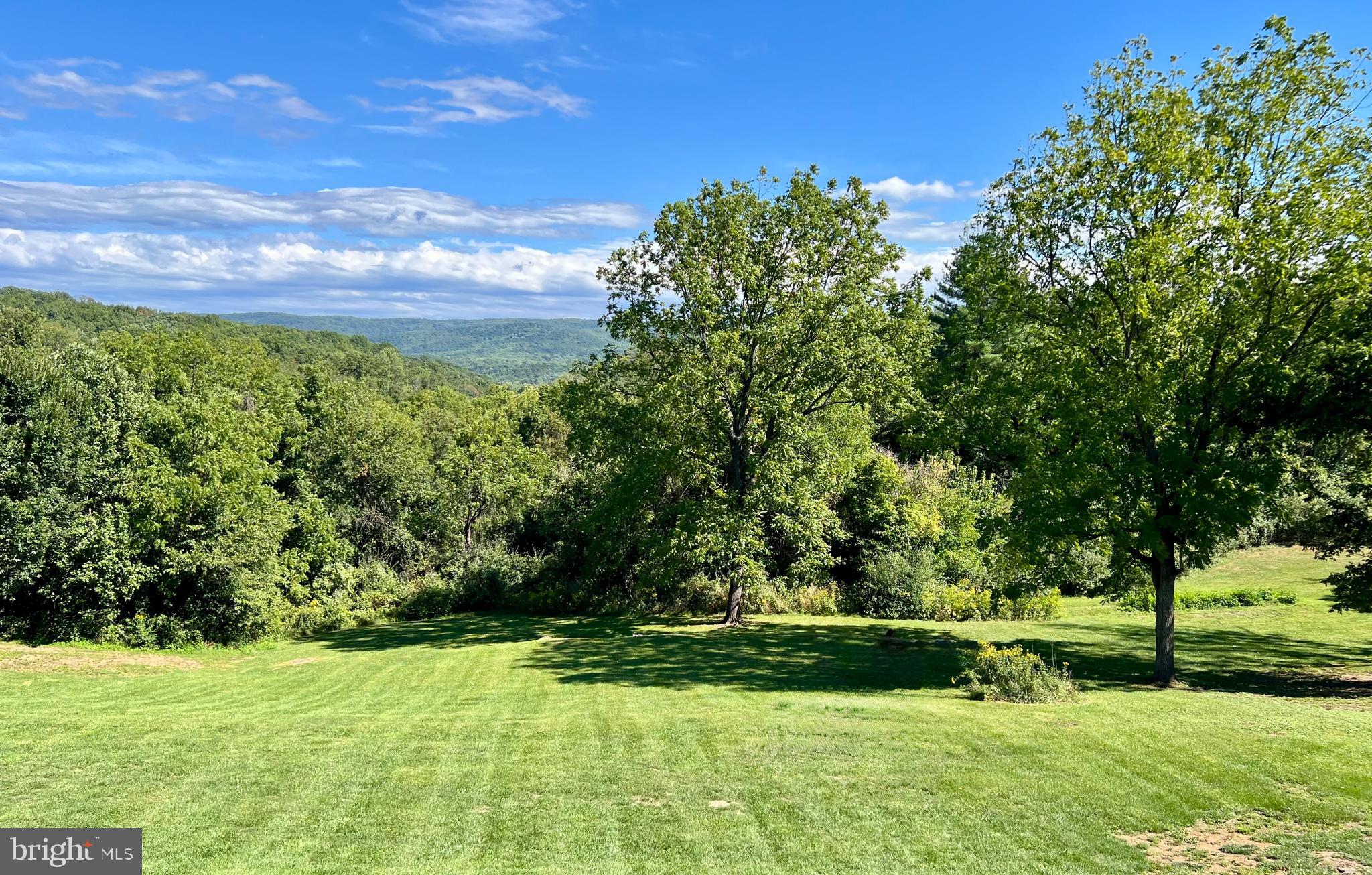1230 Chilly Hollow Road Berryville, VA 22611 - Photo 50 of 61