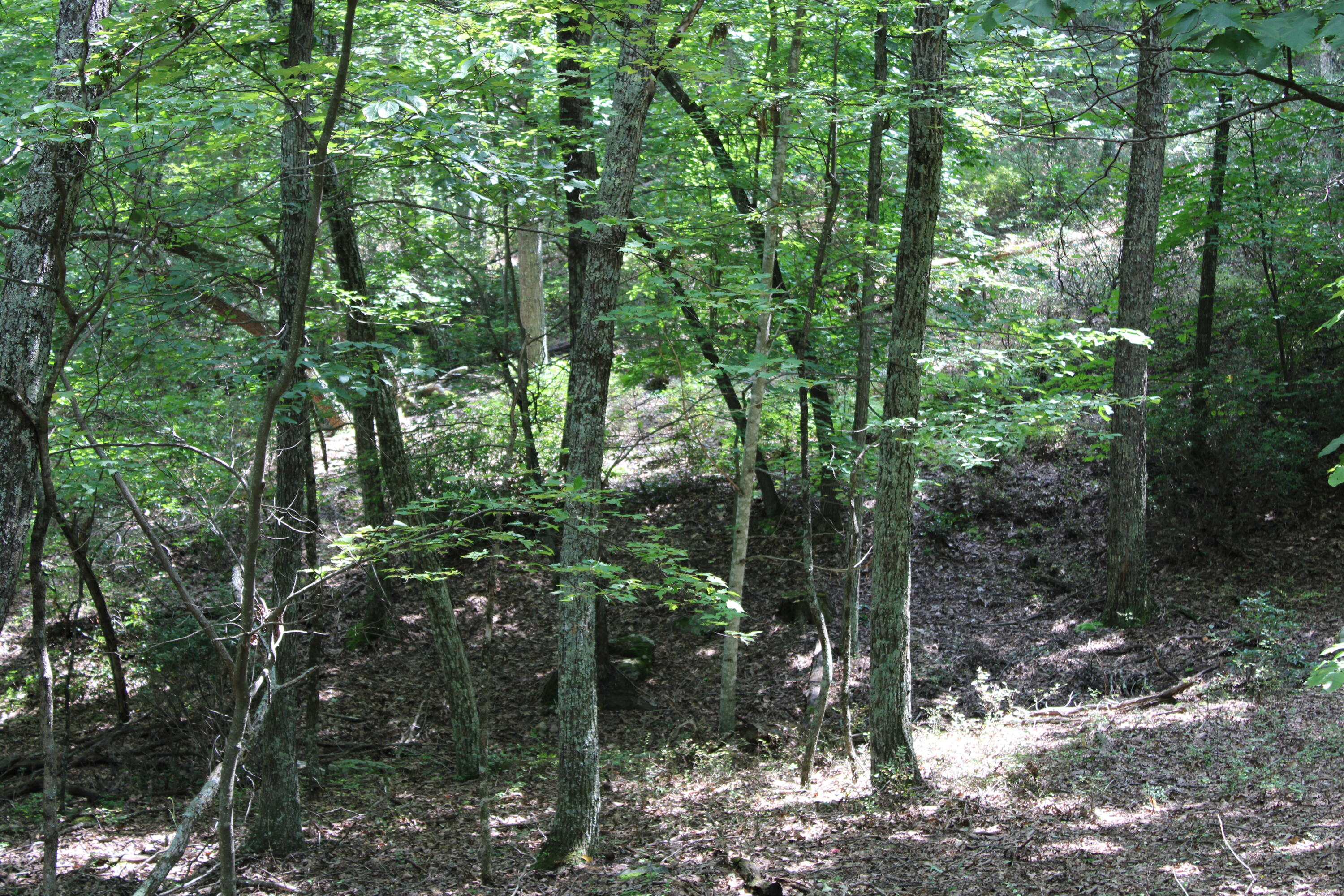 2816 Johns Creek Road New Castle, VA 24127 - Photo 44 of 96 IMG_0042
