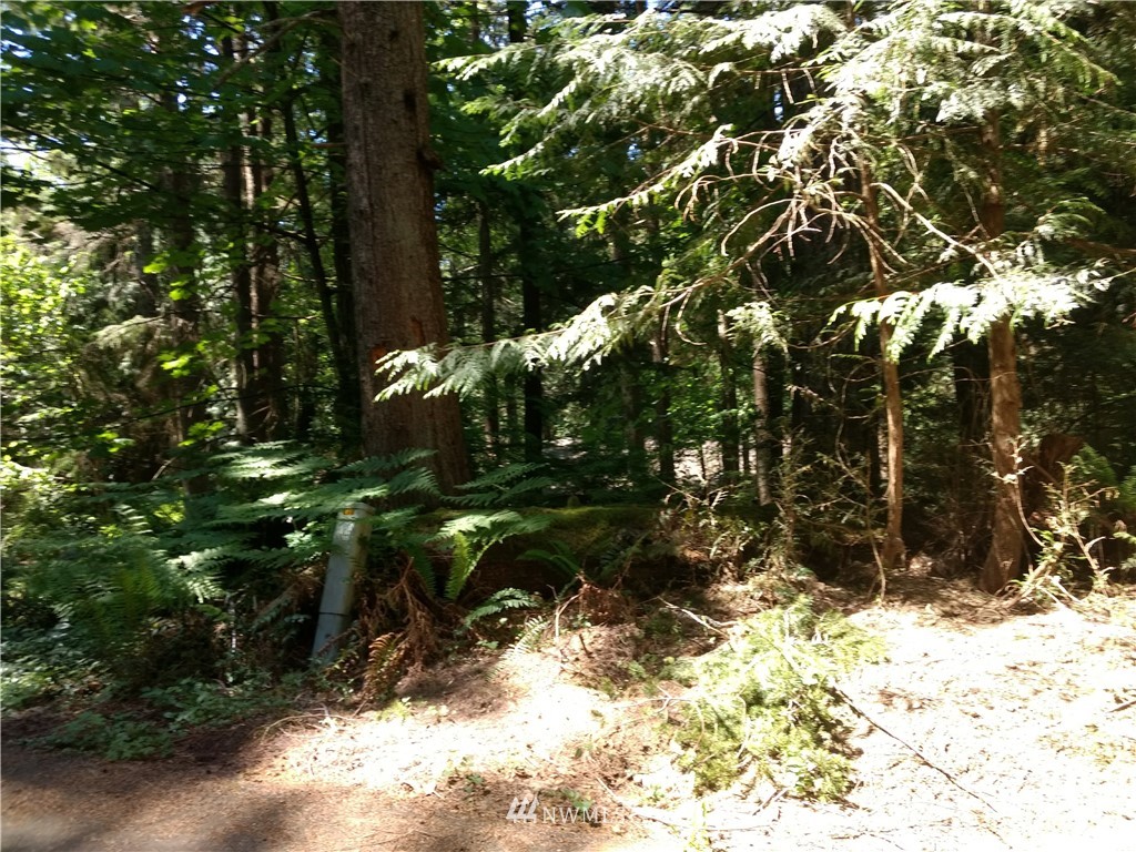 30 Basin View Circle Bellingham, WA 98229 - Photo 6 of 9 Gallery Image 6