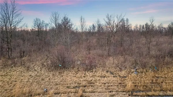 $49,900 | V/l Townline Road, Ransomville, NY 14131