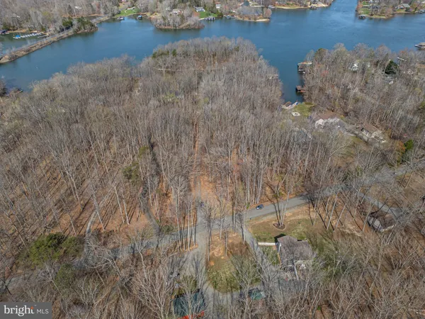 a close up of a tree