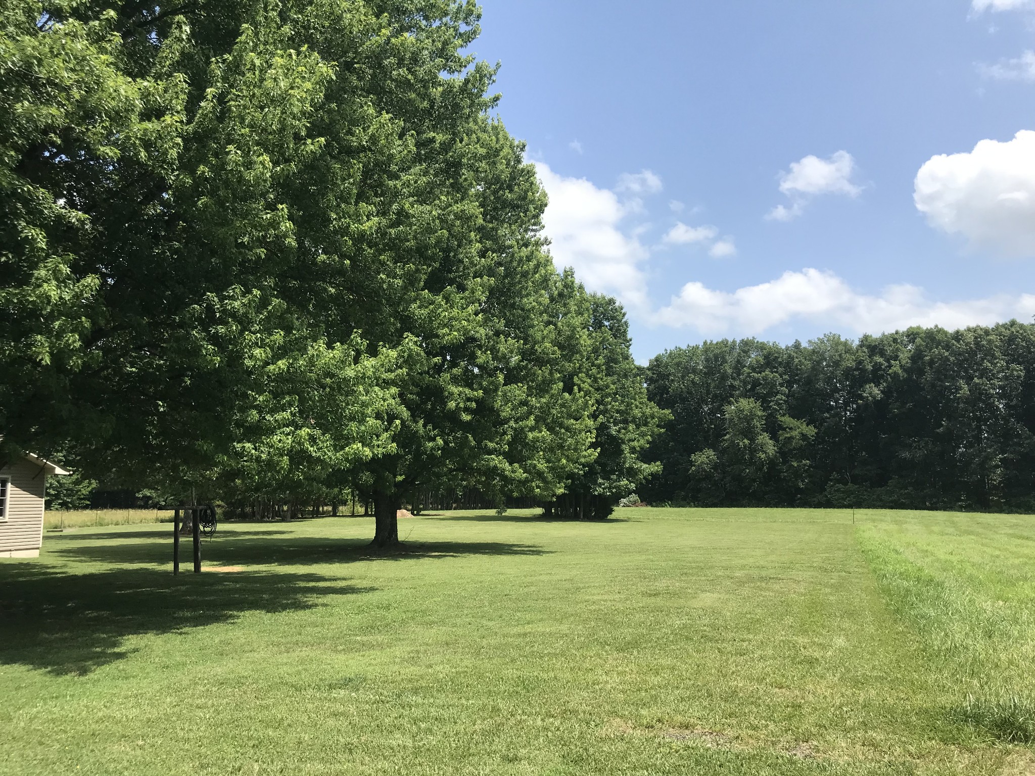 1729 Johnson Branch Road Pulaski, TN 38478 - Photo 9 of 33 a view of a park