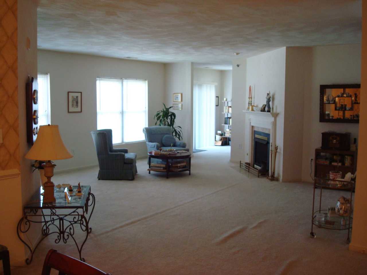 4438 Pheasant Ridge Road, Unit 208 Roanoke, VA 24014 - Photo 11 of 24 a living room with furniture and a fireplace