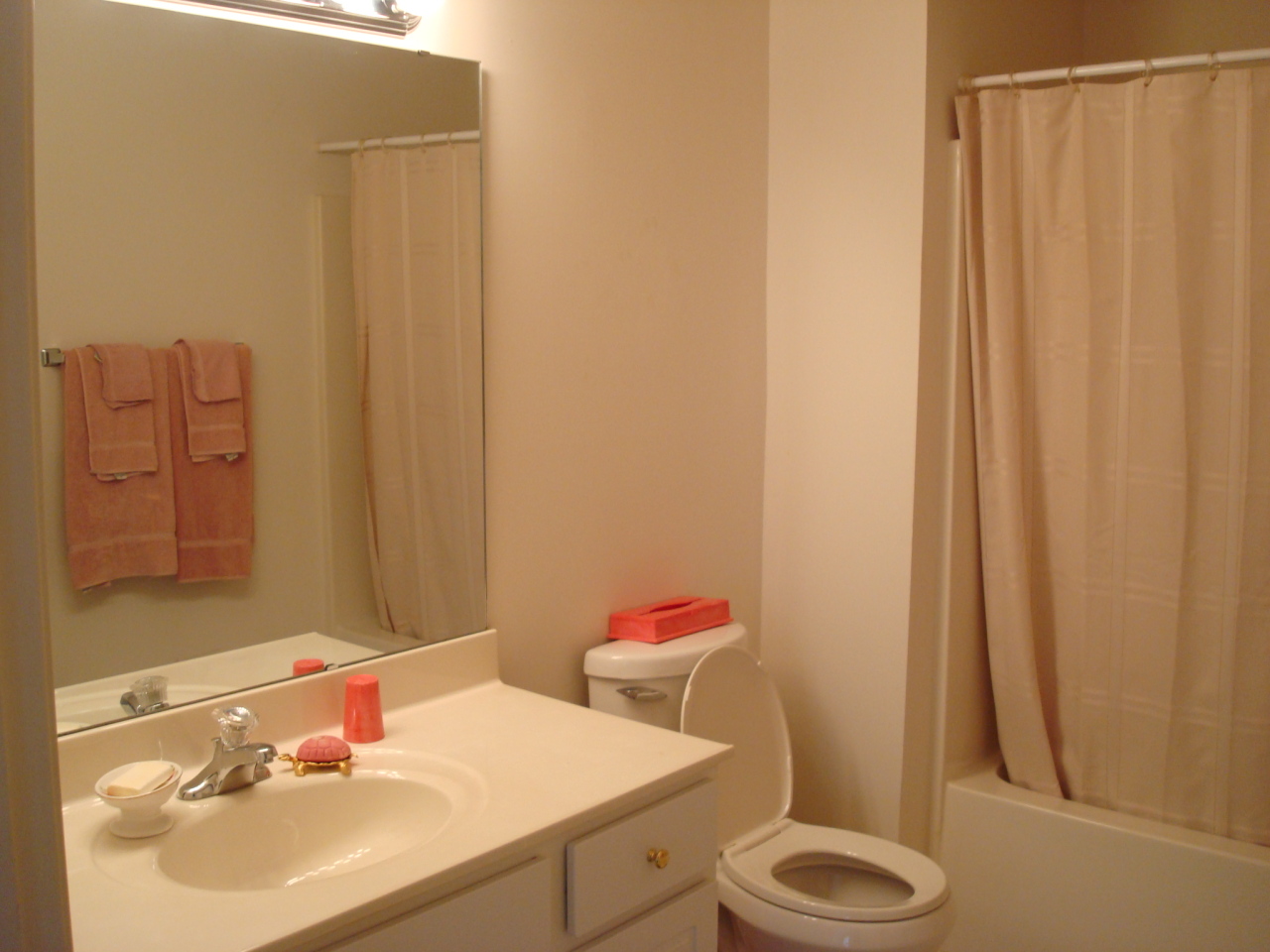 4438 Pheasant Ridge Road, Unit 208 Roanoke, VA 24014 - Photo 13 of 24 a bathroom with a sink toilet and shower