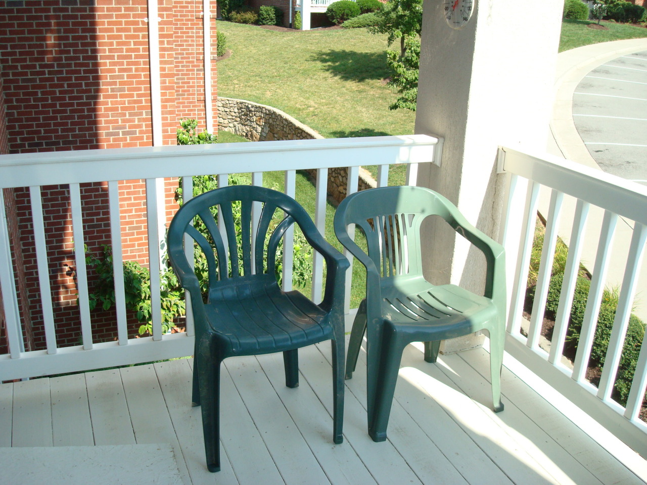 4438 Pheasant Ridge Road, Unit 208 Roanoke, VA 24014 - Photo 23 of 24 a view of balcony with furniture and garden