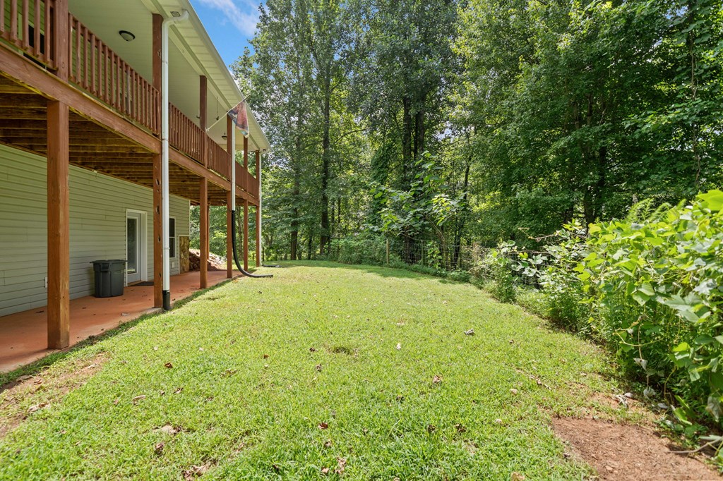 564 Scrougetown Road Ellijay, GA 30536 - Photo 54 of 58 a view of backyard with large trees