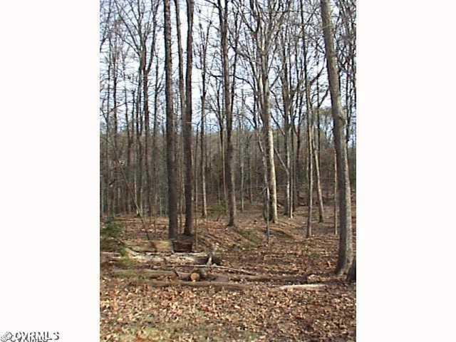 0 Plum Tree Road Mineral, VA 23117 - Photo 1 of 1 Gallery Image 1
