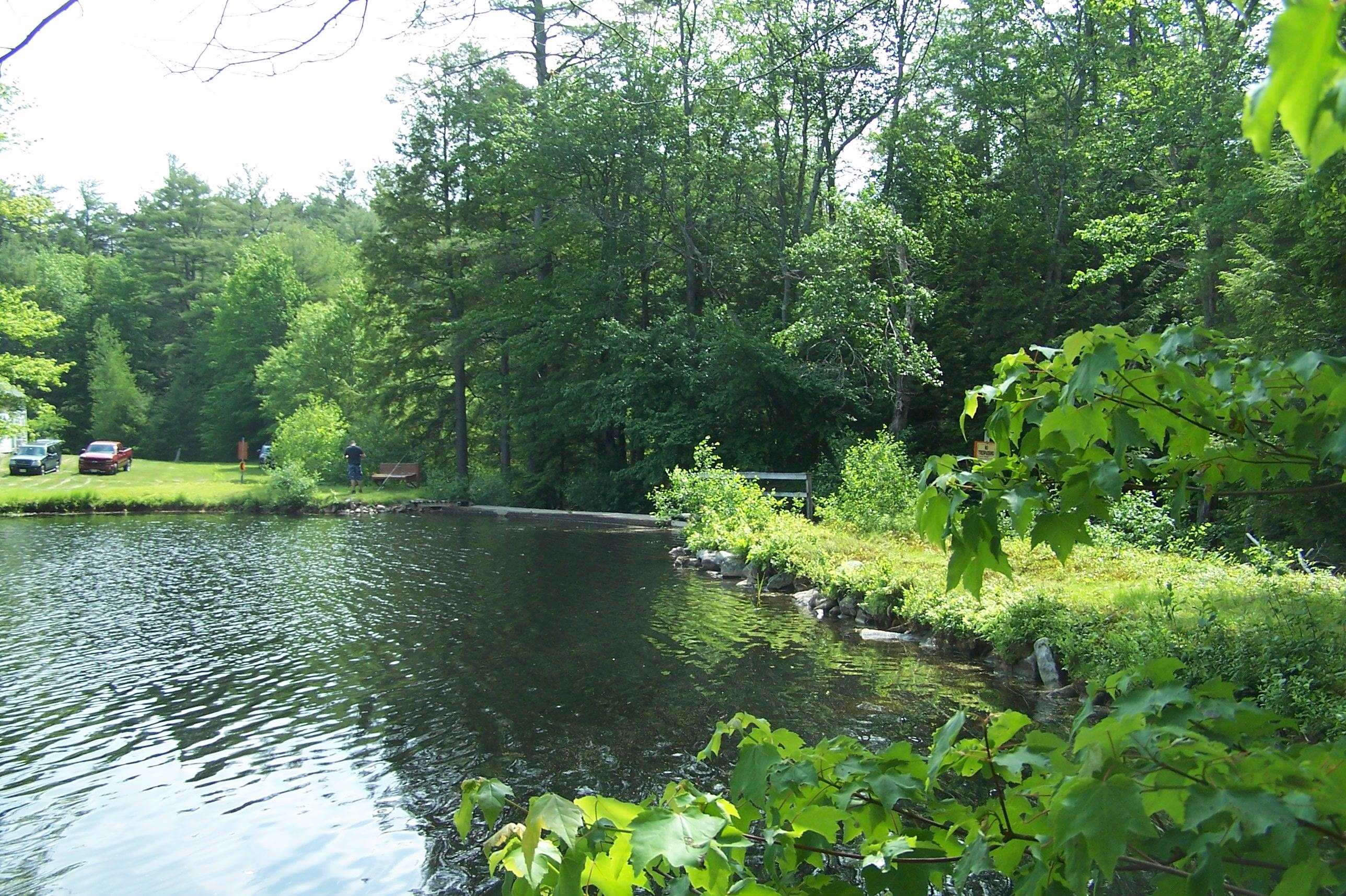 77 Scott Pond Road Fitzwilliam, NH 03447 - Photo 11 of 39