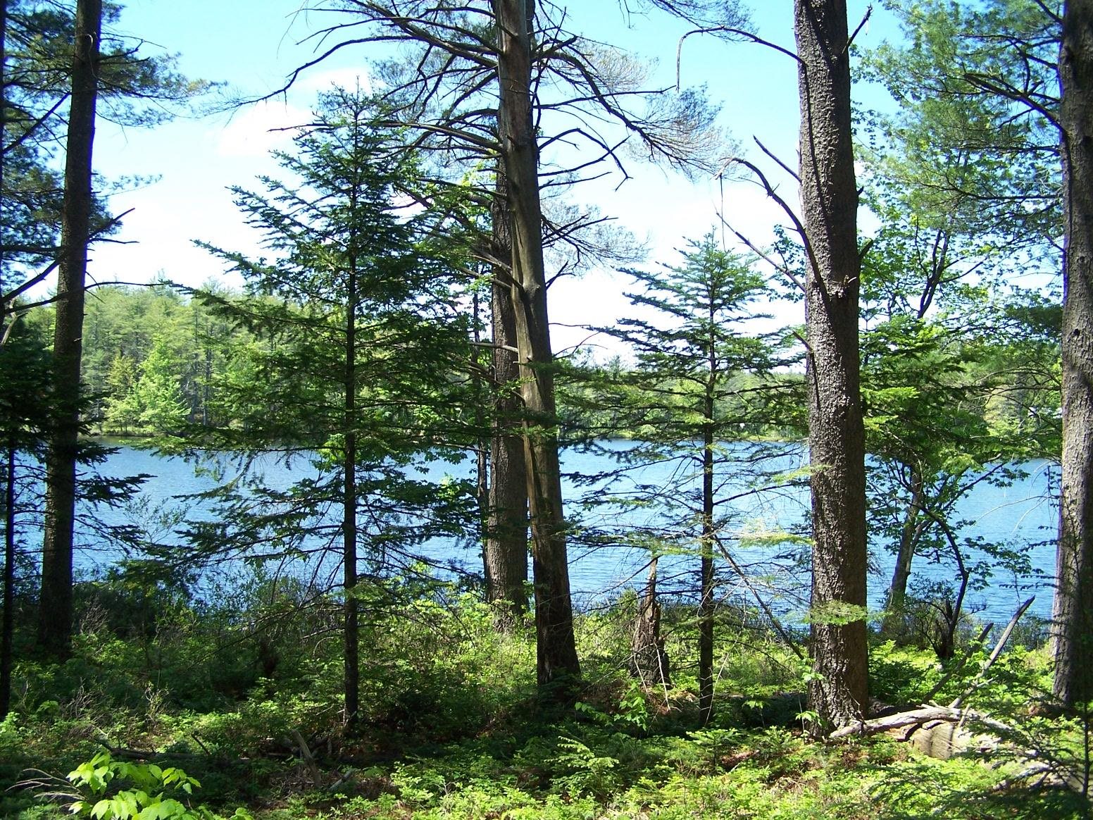 77 Scott Pond Road Fitzwilliam, NH 03447 - Photo 17 of 39