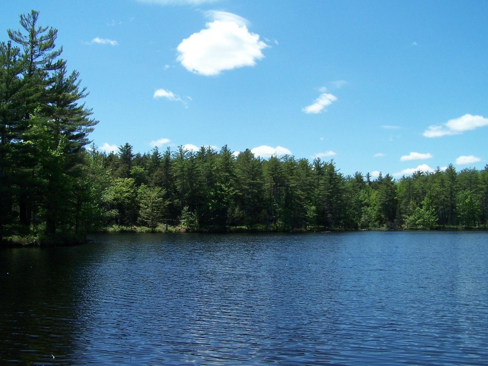 77 Scott Pond Road Fitzwilliam, NH 03447 - Photo 19 of 39