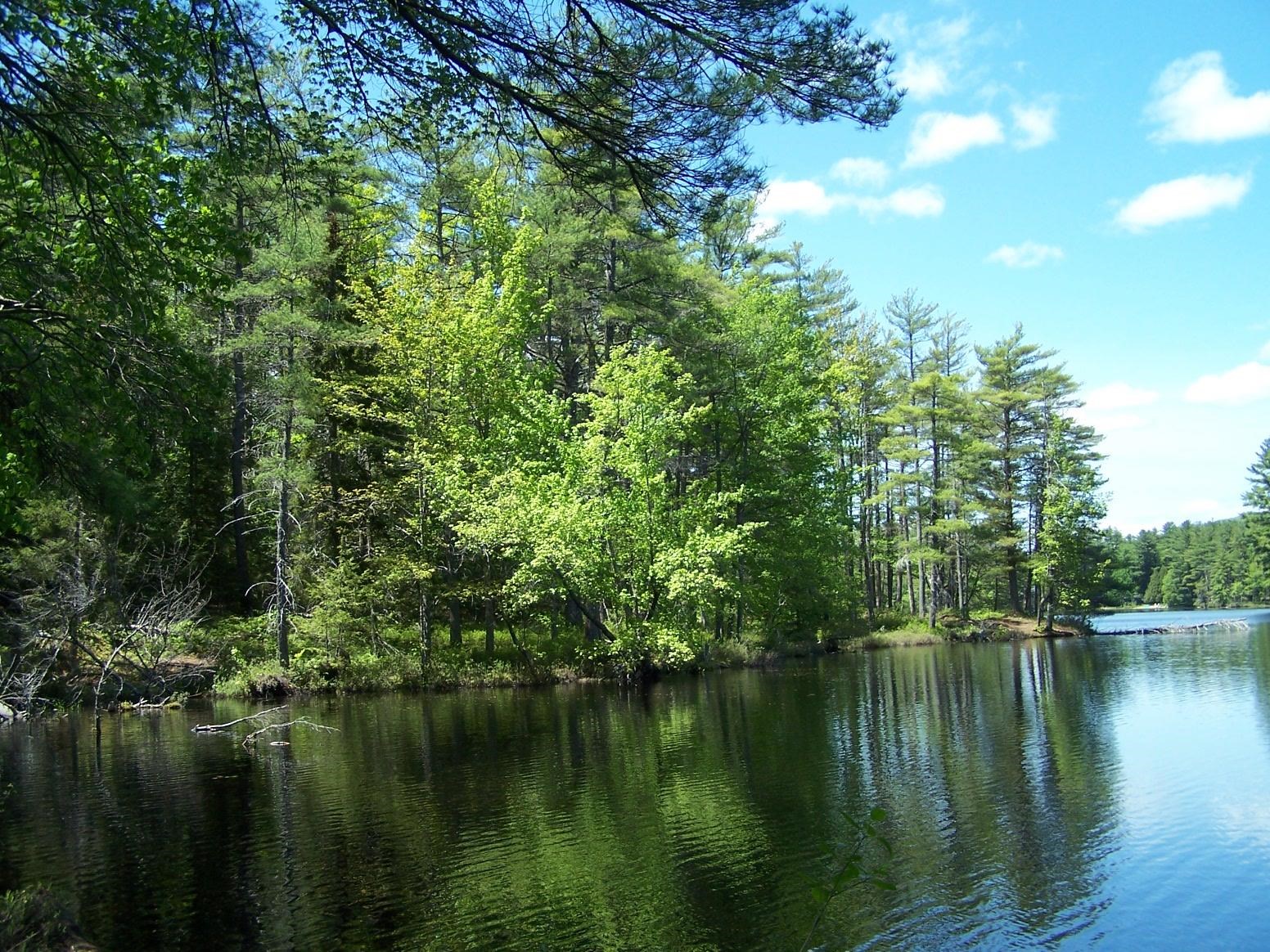 77 Scott Pond Road Fitzwilliam, NH 03447 - Photo 23 of 39