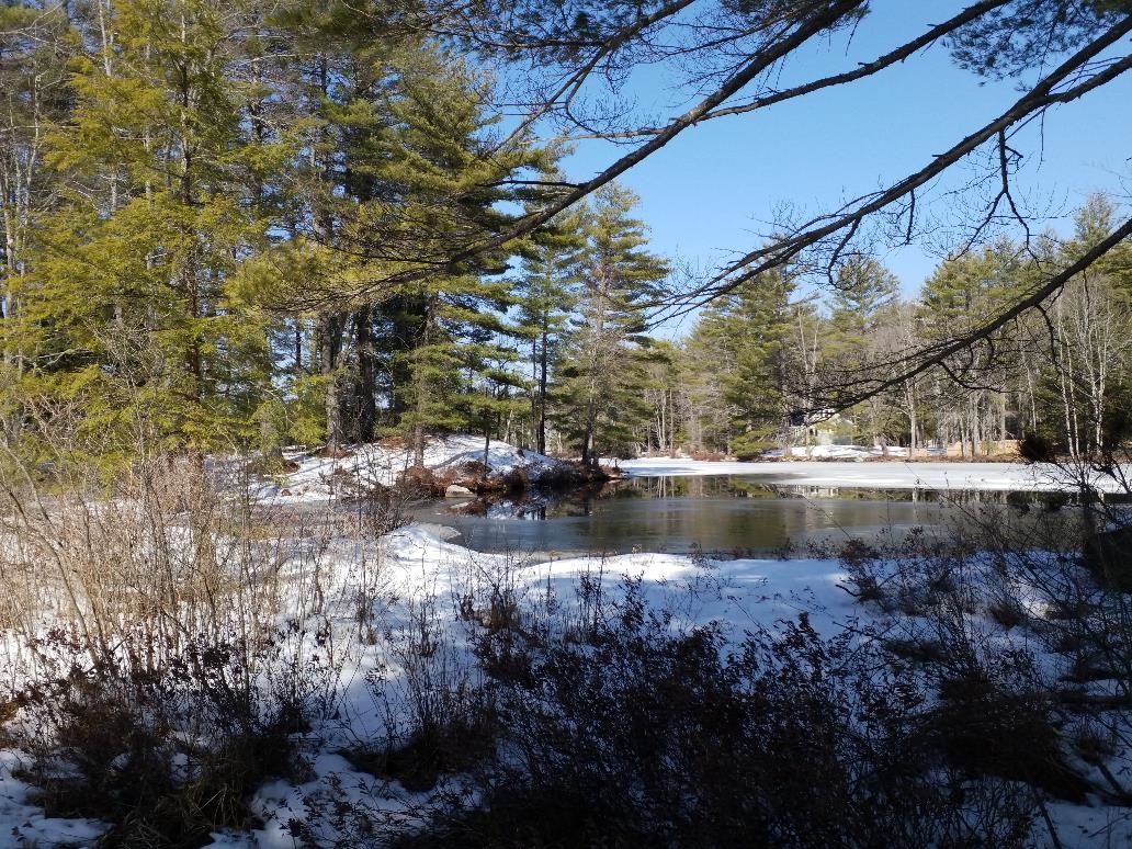 77 Scott Pond Road Fitzwilliam, NH 03447 - Photo 26 of 39