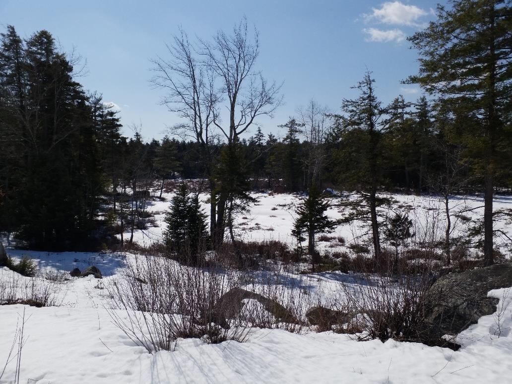 77 Scott Pond Road Fitzwilliam, NH 03447 - Photo 27 of 39