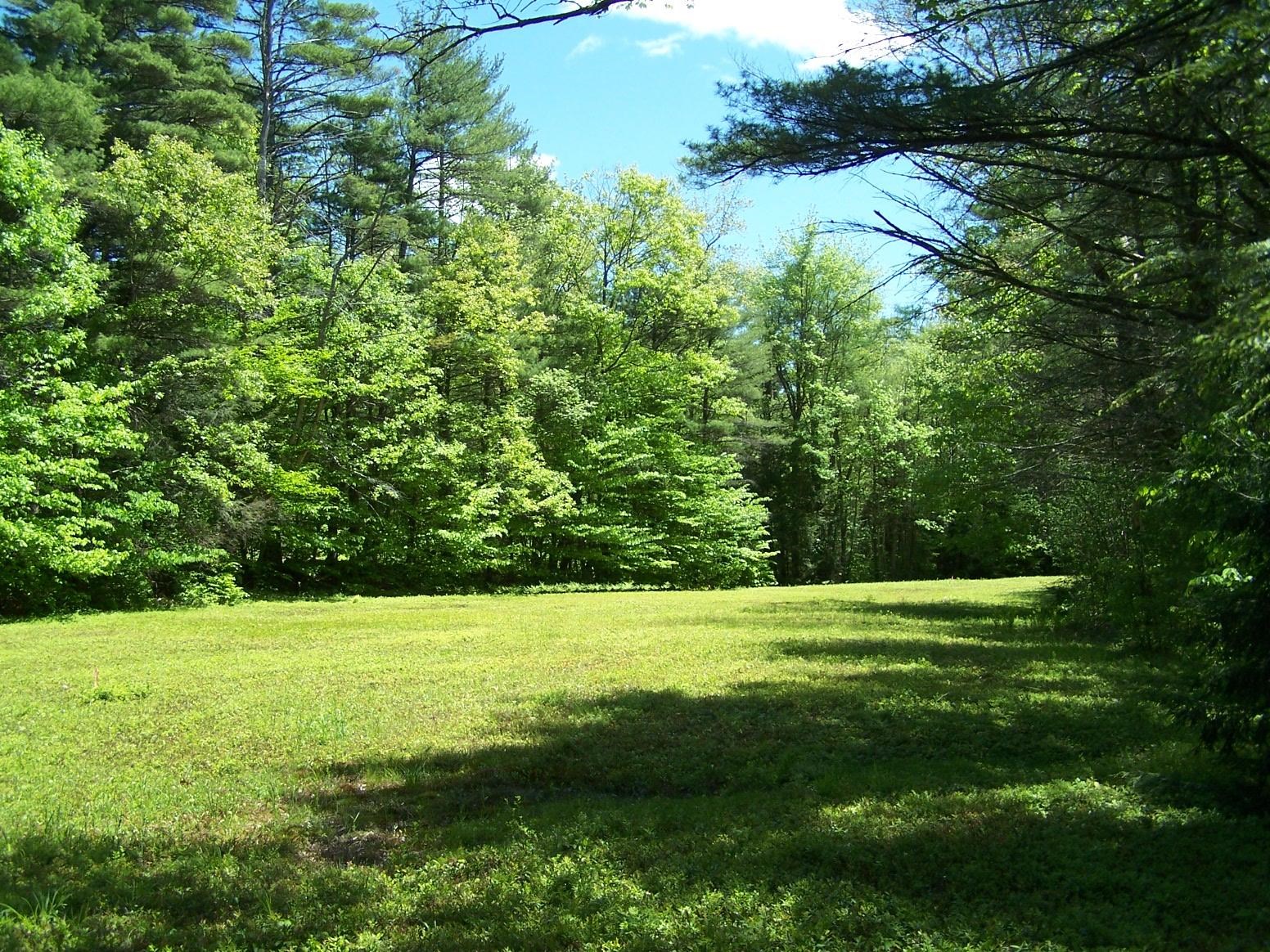 77 Scott Pond Road Fitzwilliam, NH 03447 - Photo 6 of 39
