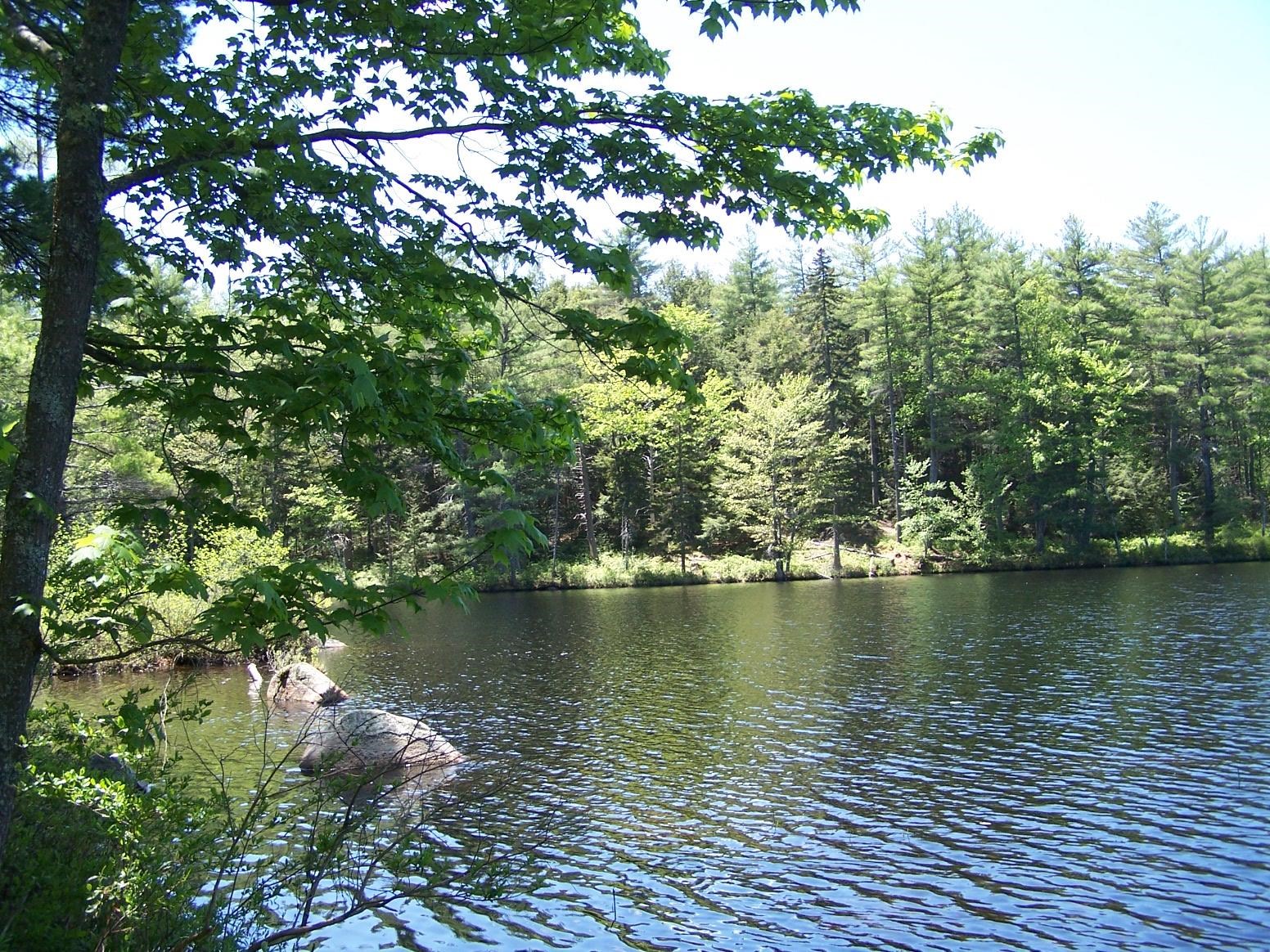 77 Scott Pond Road Fitzwilliam, NH 03447 - Photo 8 of 39