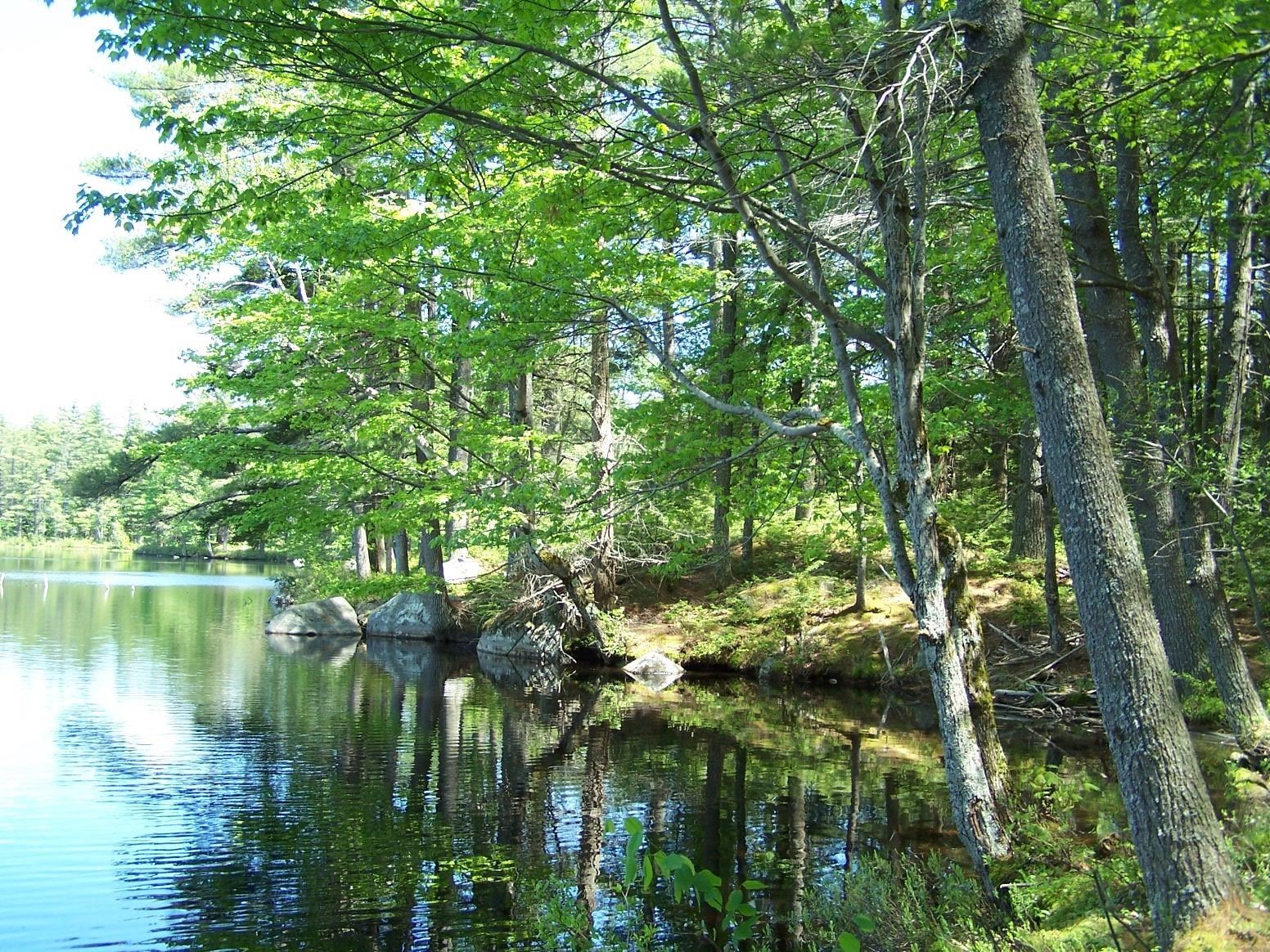 77 Scott Pond Road Fitzwilliam, NH 03447 - Photo 9 of 39