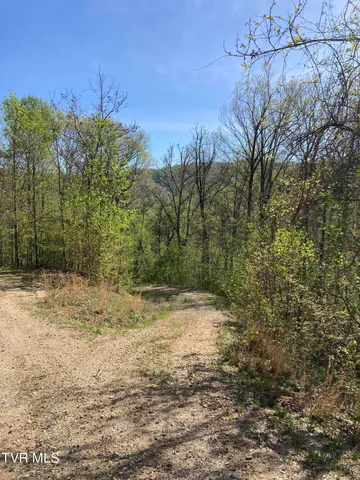 $79,900 | Tbd Tbd Tulip Poplar Trail Extension, Unit 64, Butler, TN 37640