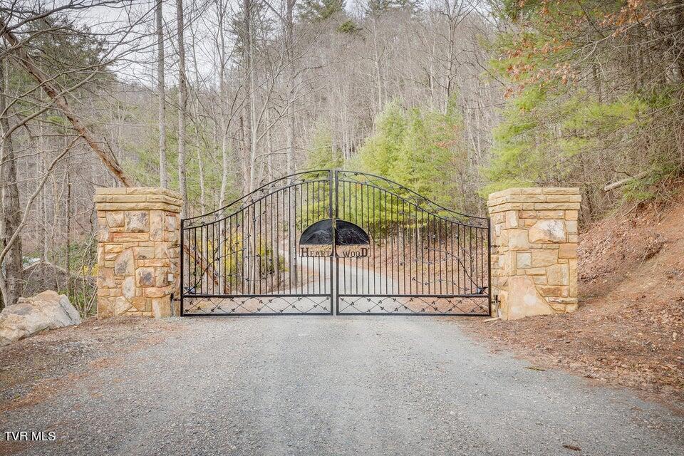 Tbd Tbd Tulip Poplar Trail Extension, Unit 64 Butler, TN 37640 - Photo 2 of 12 Heartwood Gate