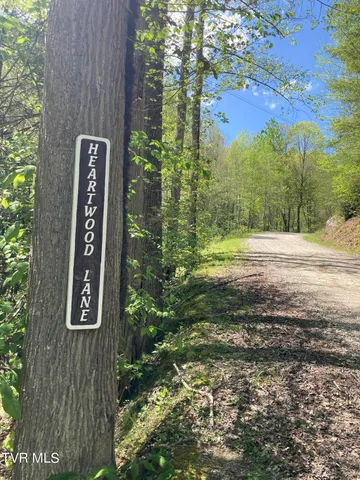 $79,900 | Tbd Tbd Tulip Poplar Trail Extension, Unit 64, Butler, TN 37640