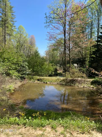 $79,900 | Tbd Tbd Tulip Poplar Trail Extension, Unit 64, Butler, TN 37640