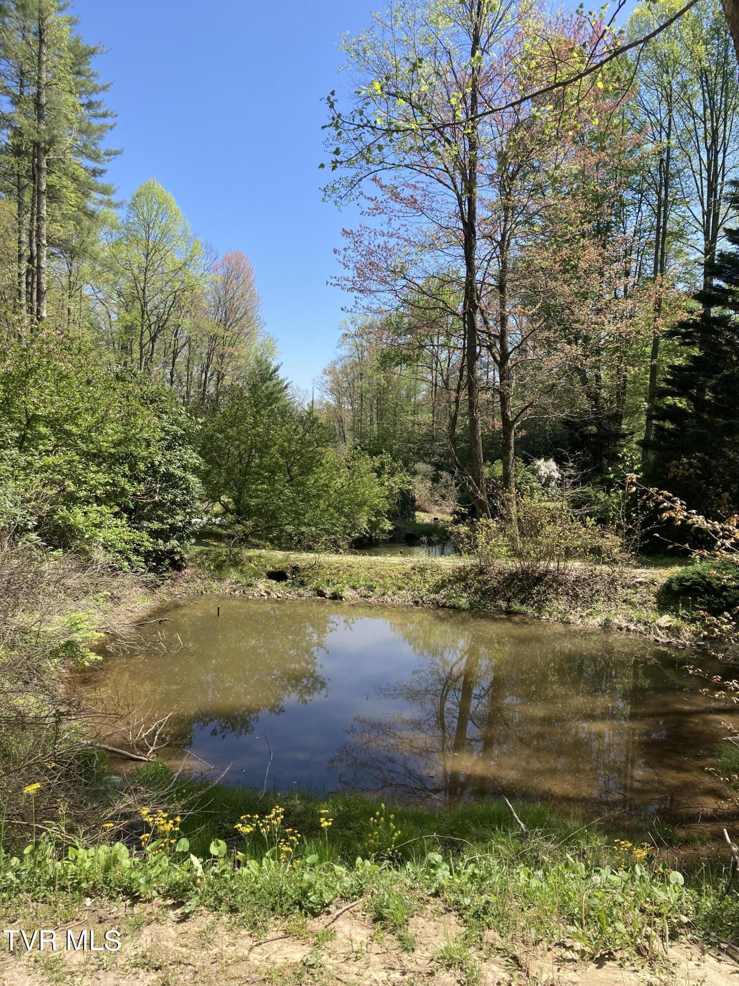 Tbd Tbd Tulip Poplar Trail Extension, Unit 64 Butler, TN 37640 - Photo 5 of 12 Heartwood Common areas 2
