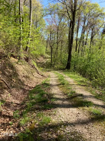 $79,900 | Tbd Tbd Tulip Poplar Trail Extension, Unit 64, Butler, TN 37640