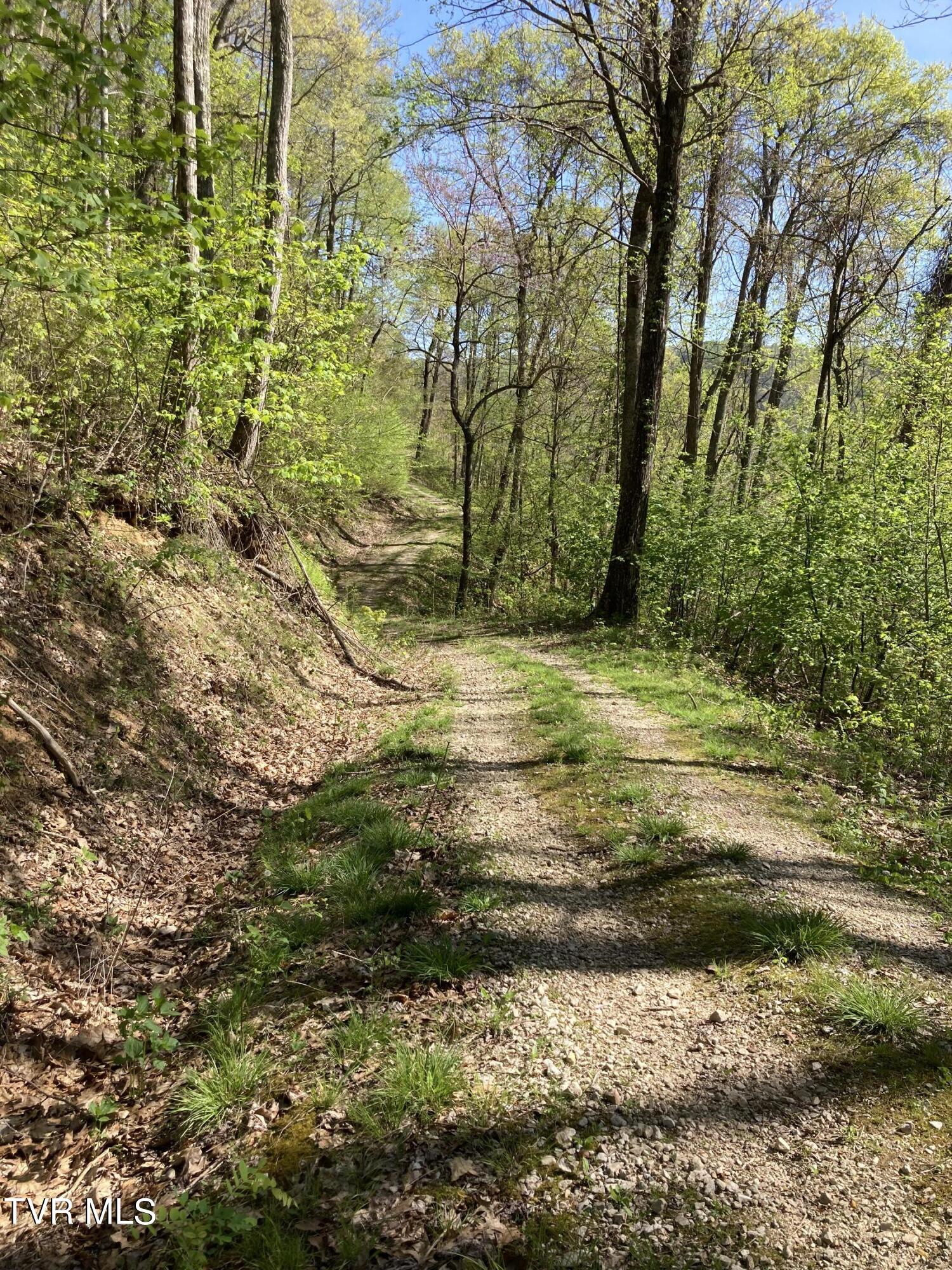 Tbd Tbd Tulip Poplar Trail Extension, Unit 64 Butler, TN 37640 - Photo 6 of 12 Lot 64 Private driveway