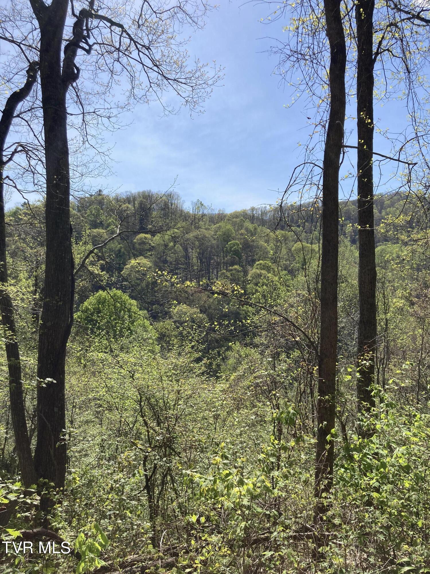 Tbd Tbd Tulip Poplar Trail Extension, Unit 64 Butler, TN 37640 - Photo 7 of 12 Lot 64 mountain views 2