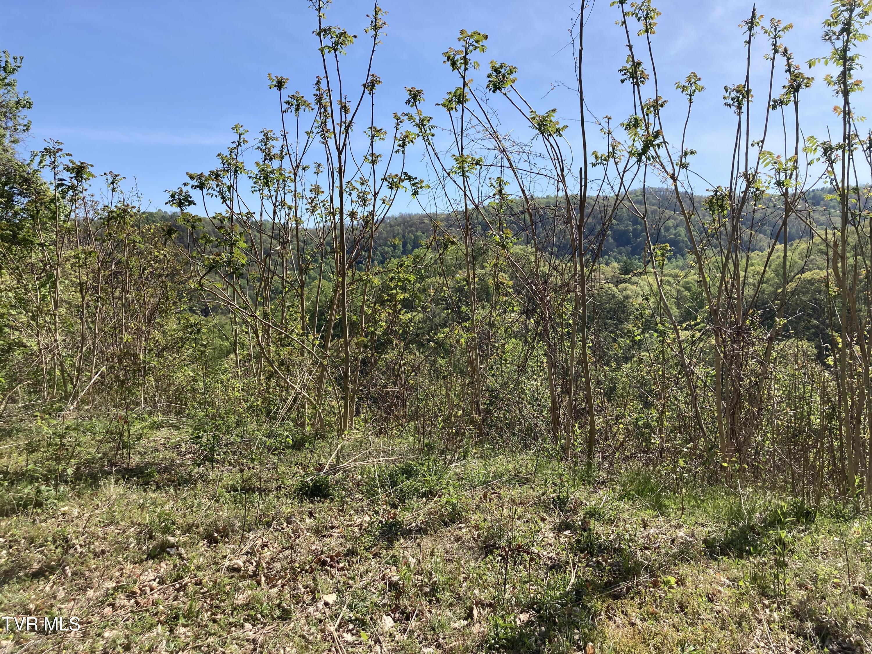 Tbd Tbd Tulip Poplar Trail Extension, Unit 64 Butler, TN 37640 - Photo 8 of 12 Lot 64 Mountain views 3