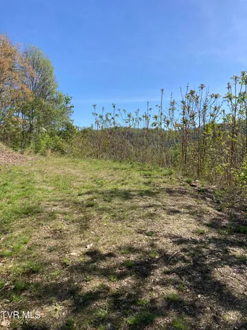 $79,900 | Tbd Tbd Tulip Poplar Trail Extension, Unit 64, Butler, TN 37640