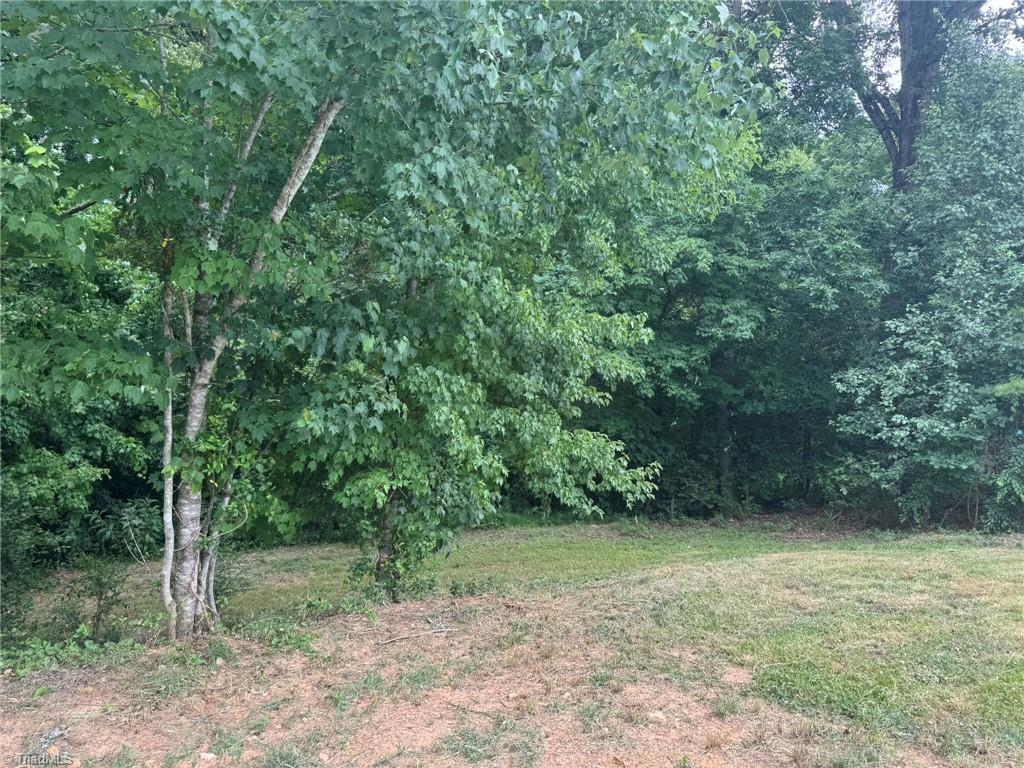 3028 Quaker Church Road Pinnacle, NC 27043 - Photo 35 of 35