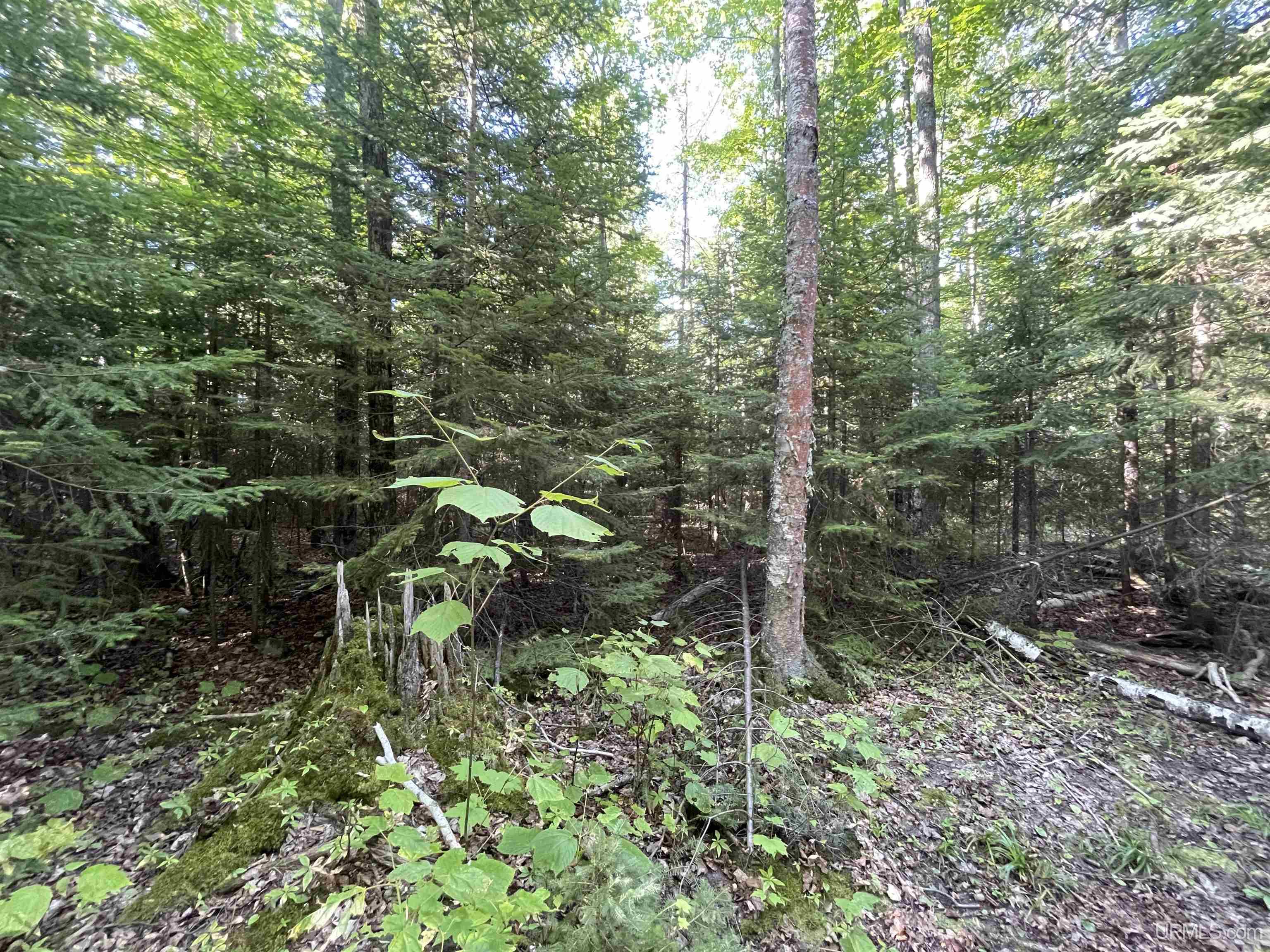 Lot 2 Point Abbaye Road Lanse, MI 49946 - Photo 22 of 26 Gallery Image 22