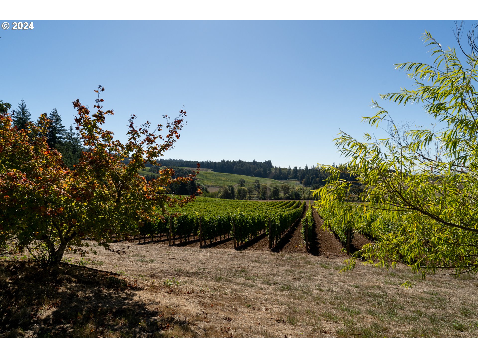 3480 Oak Grove Road Rickreall, OR 97371 - Photo 32 of 43