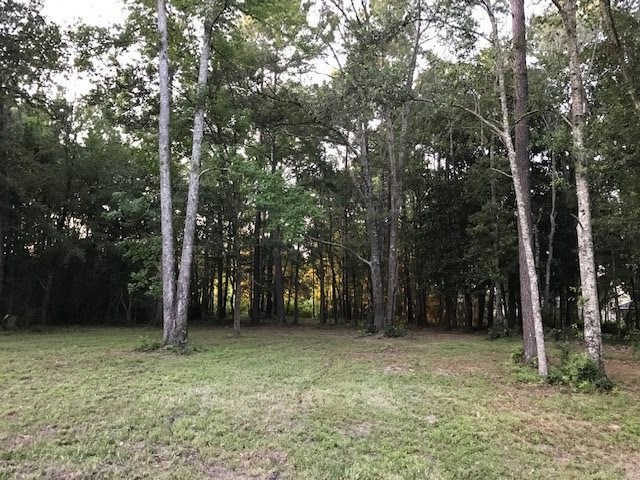 1 Styx River Road Stapleton, AL 36578 - Photo 10 of 11