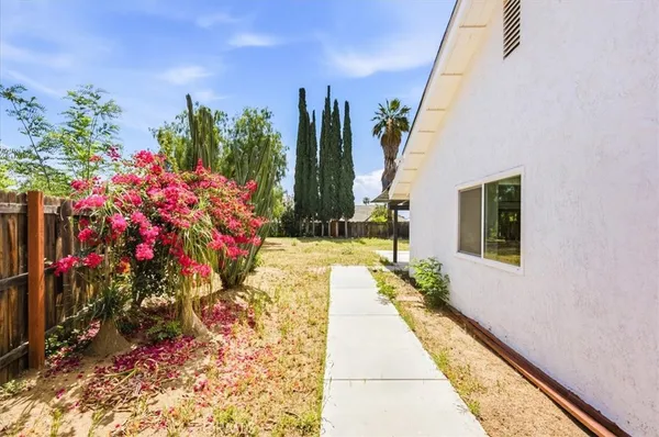 a view of path along with potted plant