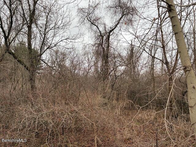 0 Division Street Great Barrington, MA 01230 - Photo 5 of 5 a view of forest