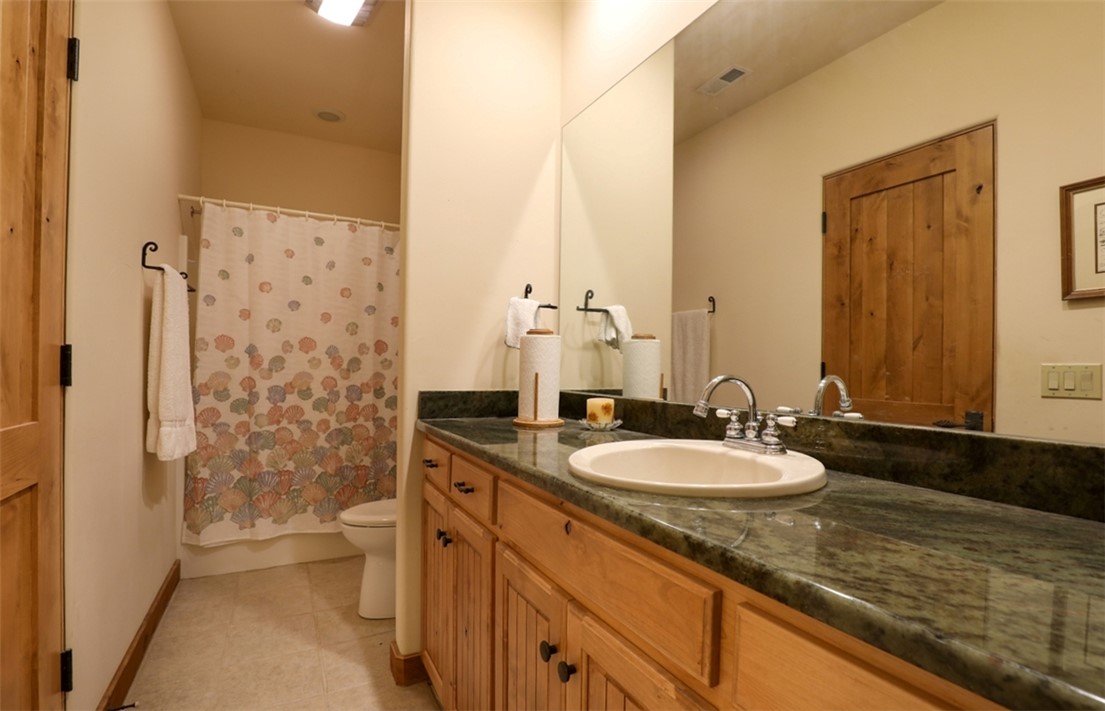 3 Horizon Pointe Lane Salem, SC 29676 - Photo 26 of 30 This functional bathroom features a single vanity with ample counter space and a convenient shower.