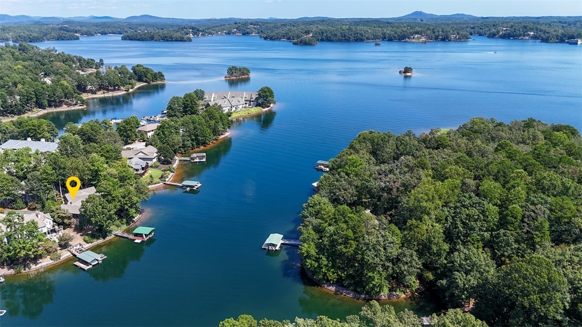 3 Horizon Pointe Lane Salem, SC 29676 - Photo 29 of 30 This aerial view showcases a vibrant lake with lush green surroundings and private boat docks.