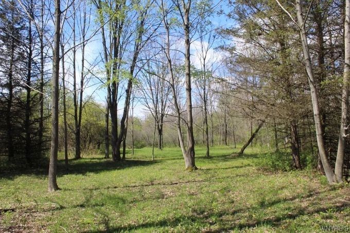 330 Cummings Road Sandy Creek, NY 13142 - Photo 7 of 24 Gallery Image 7