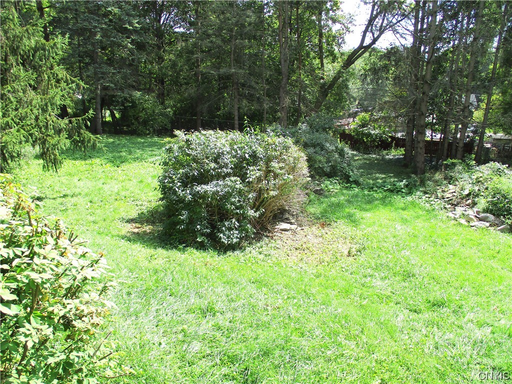 208 Eureka Drive Manlius, NY 13104 - Photo 4 of 21